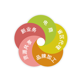 顺辉电子 顺辉电子