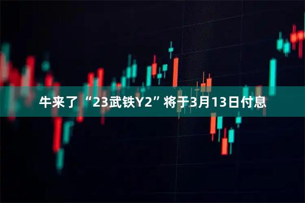 牛来了 “23武铁Y2”将于3月13日付息