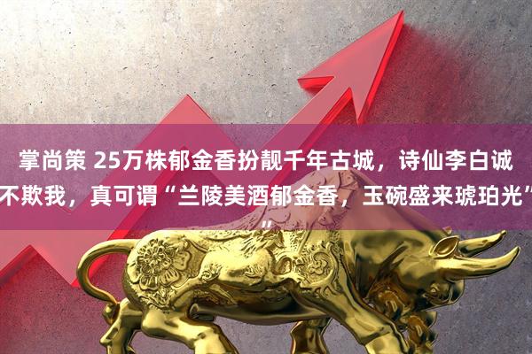 掌尚策 25万株郁金香扮靓千年古城，诗仙李白诚不欺我，真可谓“兰陵美酒郁金香，玉碗盛来琥珀光”