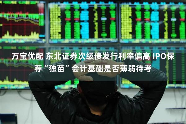 万宝优配 东北证券次级债发行利率偏高 IPO保荐“独苗”会计基础是否薄弱待考