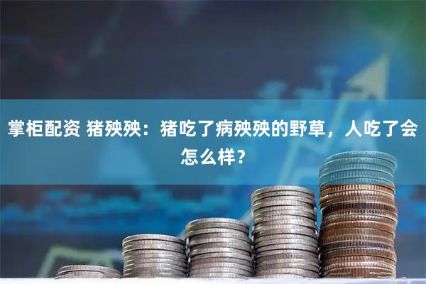 掌柜配资 猪殃殃：猪吃了病殃殃的野草，人吃了会怎么样？