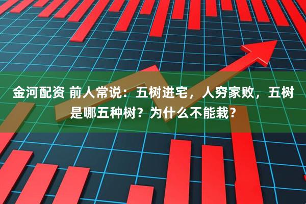 金河配资 前人常说：五树进宅，人穷家败，五树是哪五种树？为什么不能栽？