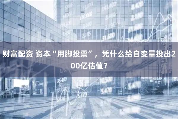 财富配资 资本“用脚投票”，凭什么给自变量投出200亿估值？