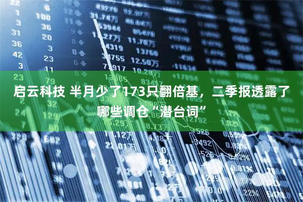 启云科技 半月少了173只翻倍基，二季报透露了哪些调仓“潜台词”
