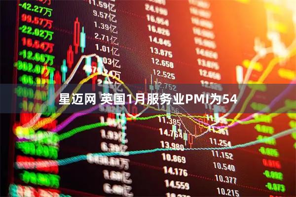 星迈网 英国1月服务业PMI为54