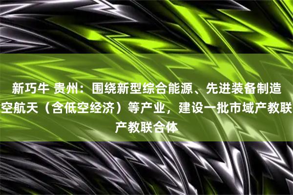 新巧牛 贵州：围绕新型综合能源、先进装备制造、航空航天（含低空经济）等产业，建设一批市域产教联合体