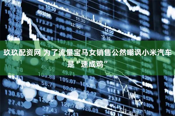 玖玖配资网 为了流量宝马女销售公然嘲讽小米汽车是“速成鸡”