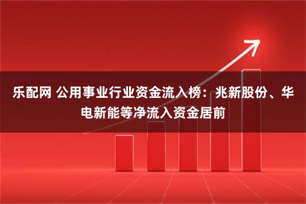 乐配网 公用事业行业资金流入榜：兆新股份、华电新能等净流入资金居前