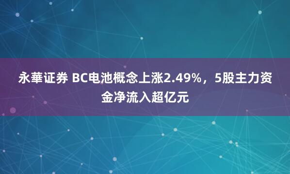 永華证券 BC电池概念上涨2.49%，5股主力资金净流入超亿元
