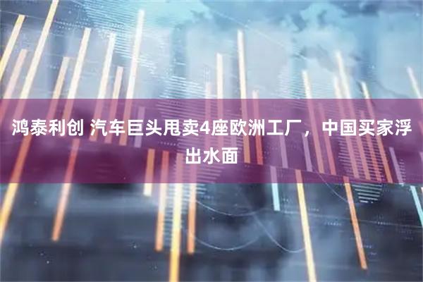 鸿泰利创 汽车巨头甩卖4座欧洲工厂，中国买家浮出水面