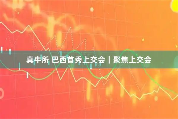 真牛所 巴西首秀上交会｜聚焦上交会
