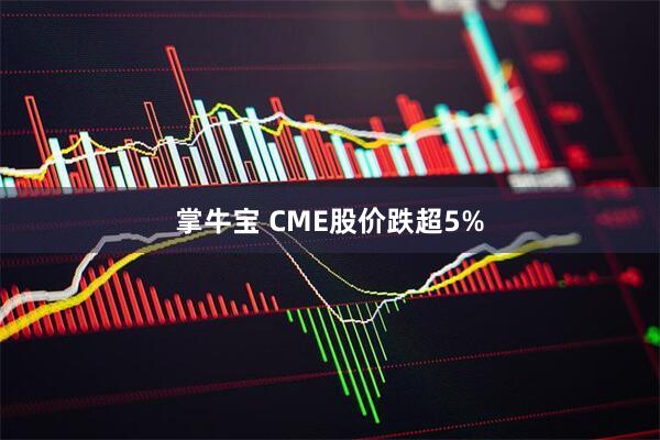 掌牛宝 CME股价跌超5%